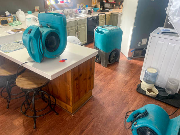 Best Mold removal after water damage  in Waianae, HI