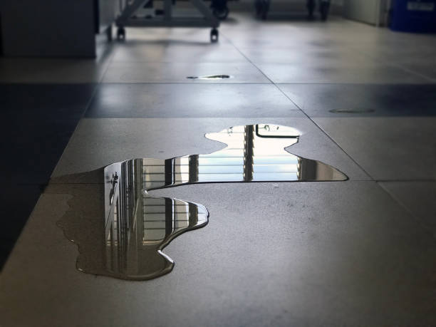 Best 24/7 water damage repair  in Waianae, HI