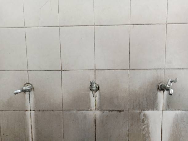 Best Water damage restoration mold remediation  in Waianae, HI