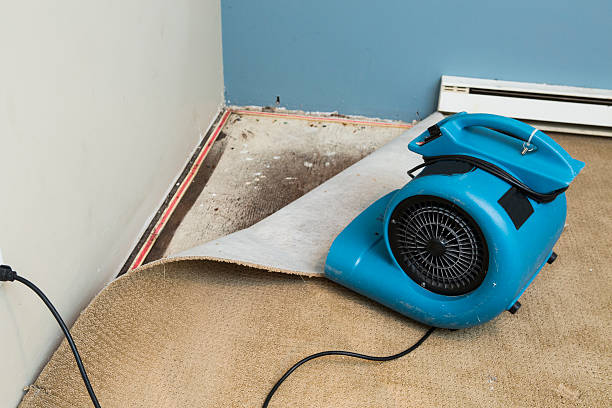 Best Basement water damage restoration  in Waianae, HI